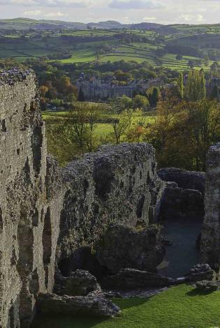 Y 'Siambrau Gwyrdd'/ The 'Green Chambers'